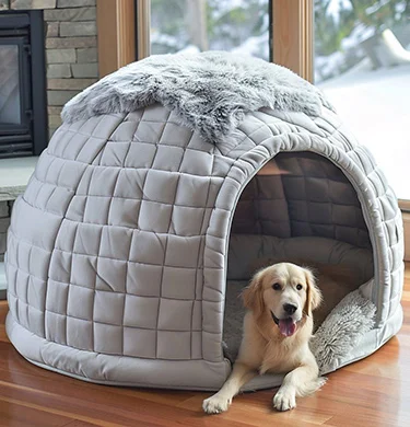 Welcome to the Comfy Life!