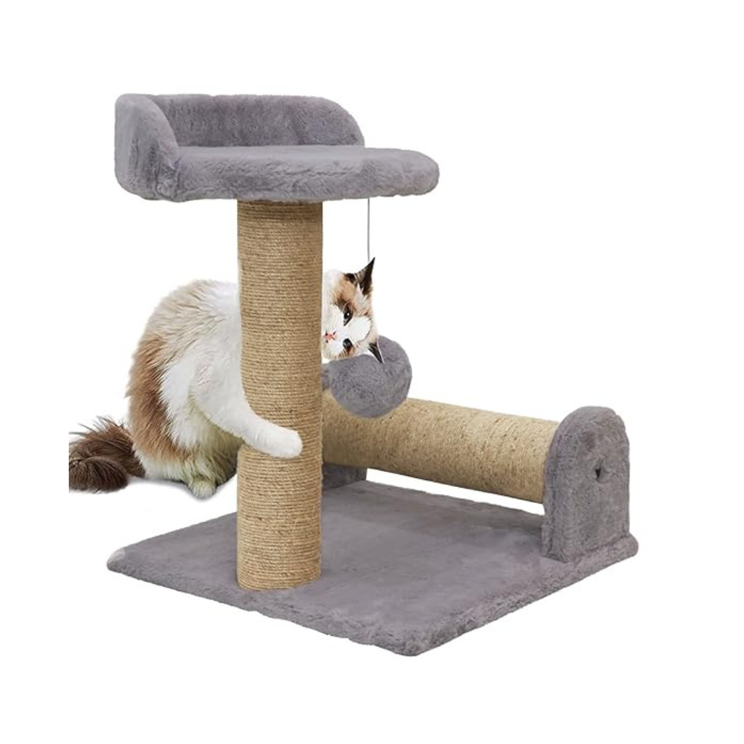 17700202674085.png